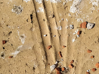 Similar image 21449985