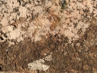 Similar image 21449987