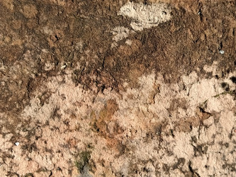 Similar image 21449988