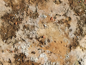 Similar image 21449989