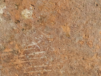 Similar image 21449992