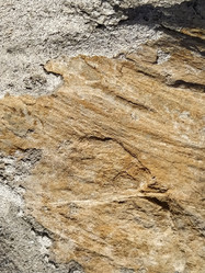 Similar image 21449995