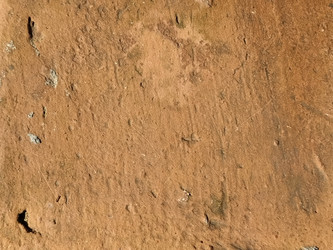 Similar image 21449996