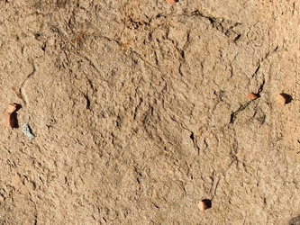 Similar image 21450267