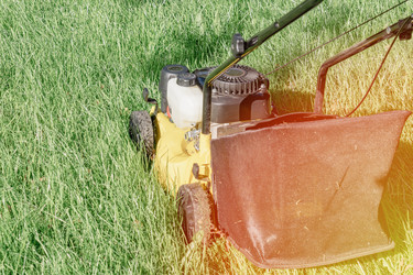 Similar image 21448436