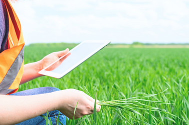 Similar image 21448437