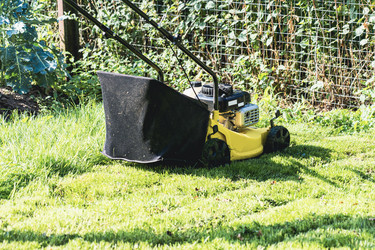 Similar image 21448446