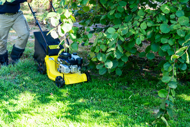 Similar image 21448448