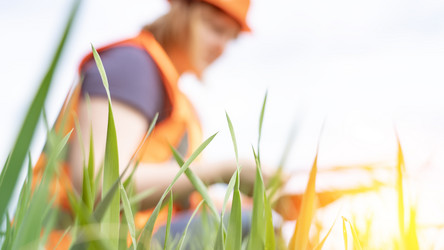 Similar image 21467172