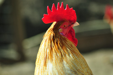 Similar image 21447837