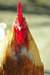 Similar image 21447838