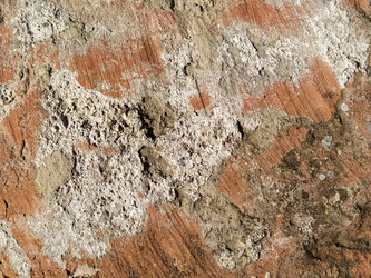 Similar image 21450400