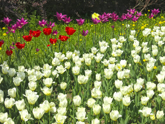 Similar image 21448651