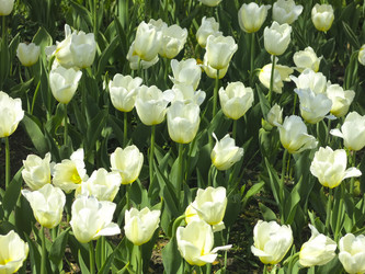 Similar image 21448652