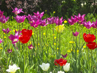 Similar image 21448653