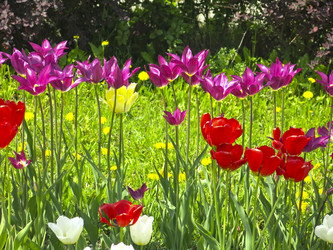 Similar image 21448654