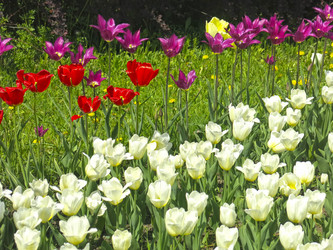 Similar image 21448655