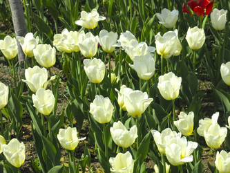 Similar image 21448656