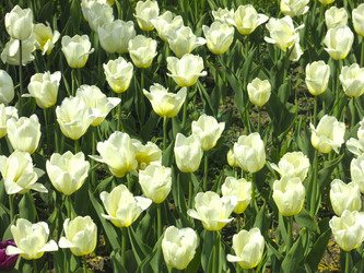 Similar image 21448659