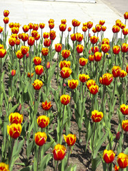 Similar image 21448661