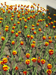 Similar image 21448662