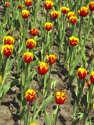 Similar image 21448663