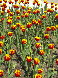 Similar image 21448664