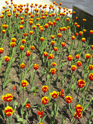 Similar image 21448666