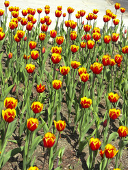 Similar image 21448667