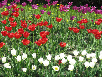 Similar image 21448669