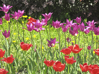 Similar image 21448670