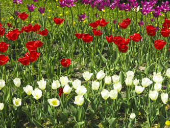 Similar image 21448671