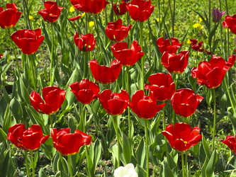 Similar image 21448672