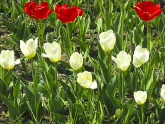 Similar image 21448673