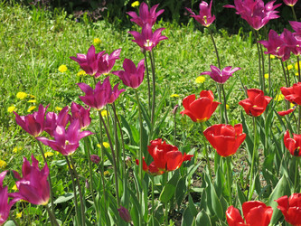 Similar image 21448674