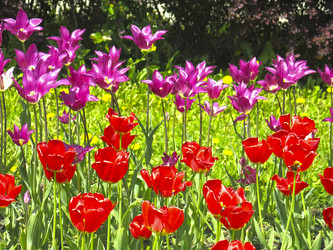 Similar image 21448675