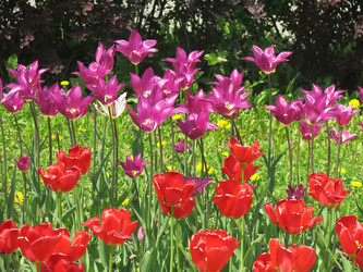 Similar image 21448676