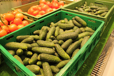 Similar image 21469695