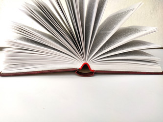 Similar image 21450050