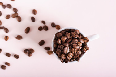 Similar image 21447637