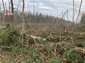 Similar image 21449605