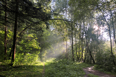 Similar image 21449608