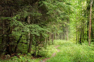 Similar image 21449609