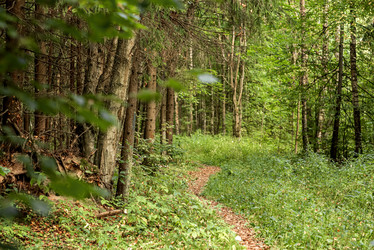 Similar image 21449613