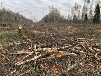 Similar image 21449617