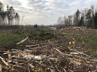 Similar image 21449620