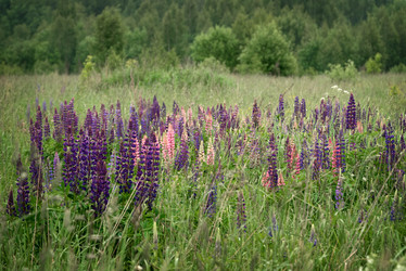 Similar image 21449622