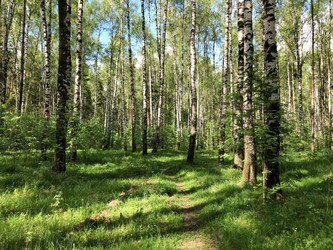 Similar image 21449624