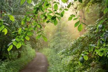 Similar image 21449626