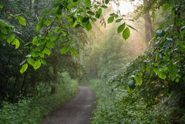 Similar image 21449628